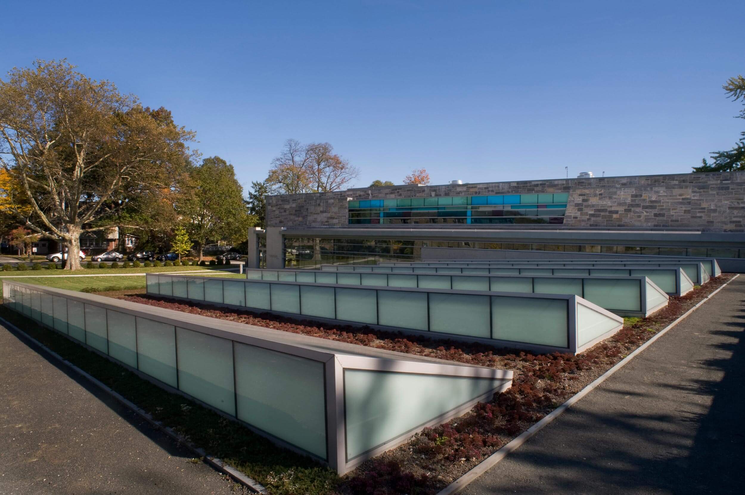 College New Rochelle